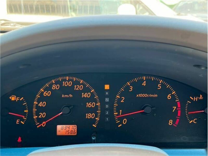 BLUEBIRD SYLPHY