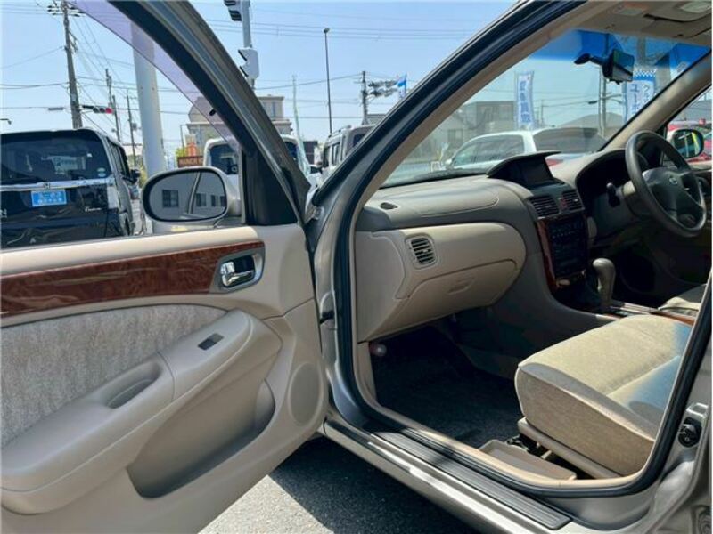 BLUEBIRD SYLPHY