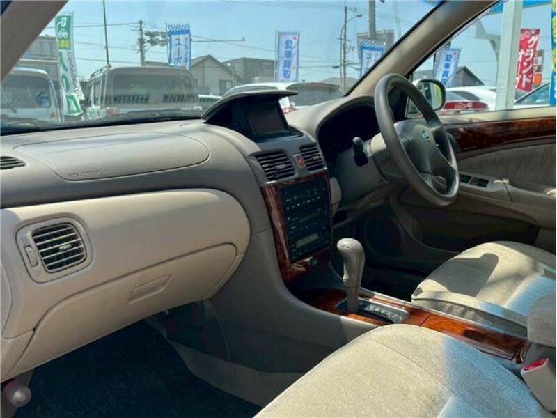 BLUEBIRD SYLPHY