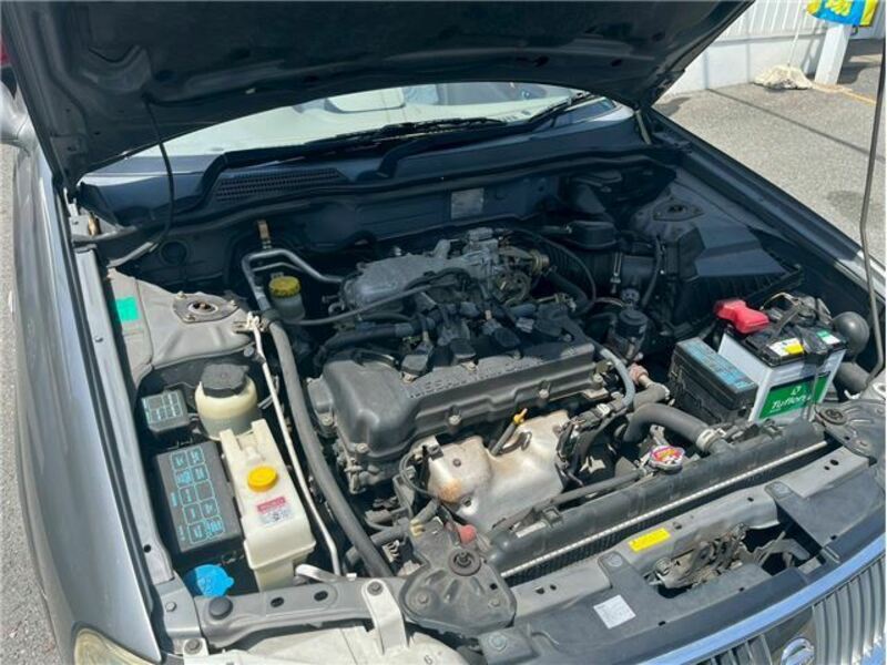 BLUEBIRD SYLPHY