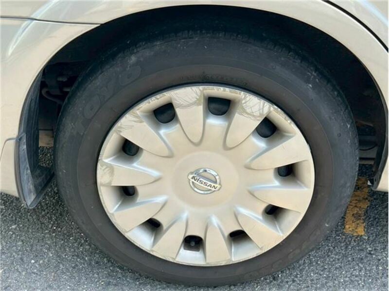 BLUEBIRD SYLPHY