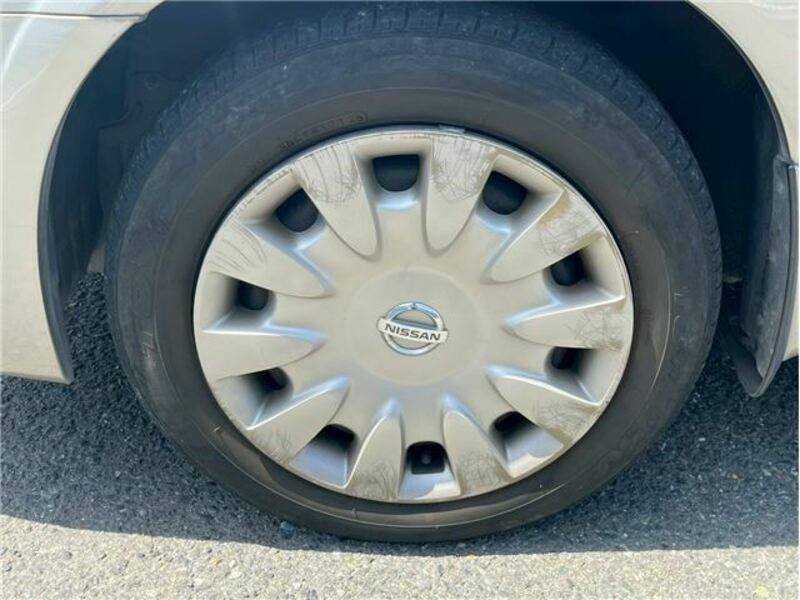 BLUEBIRD SYLPHY