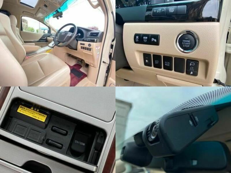ALPHARD-12