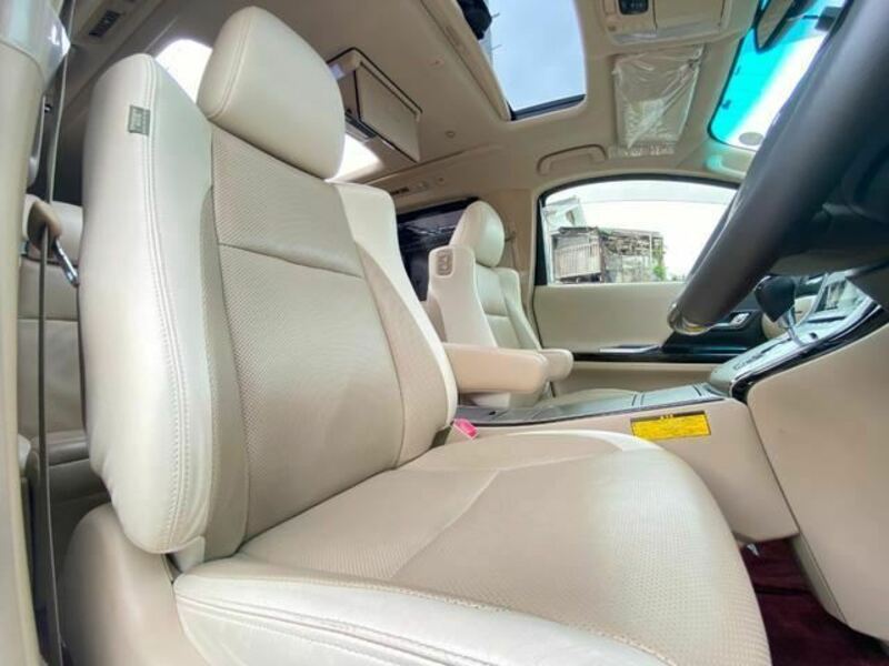 ALPHARD-36