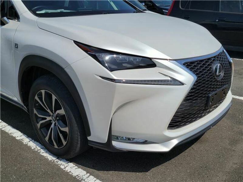 NX