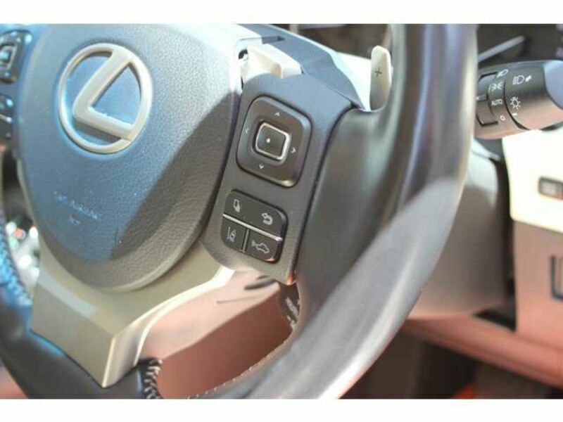 NX