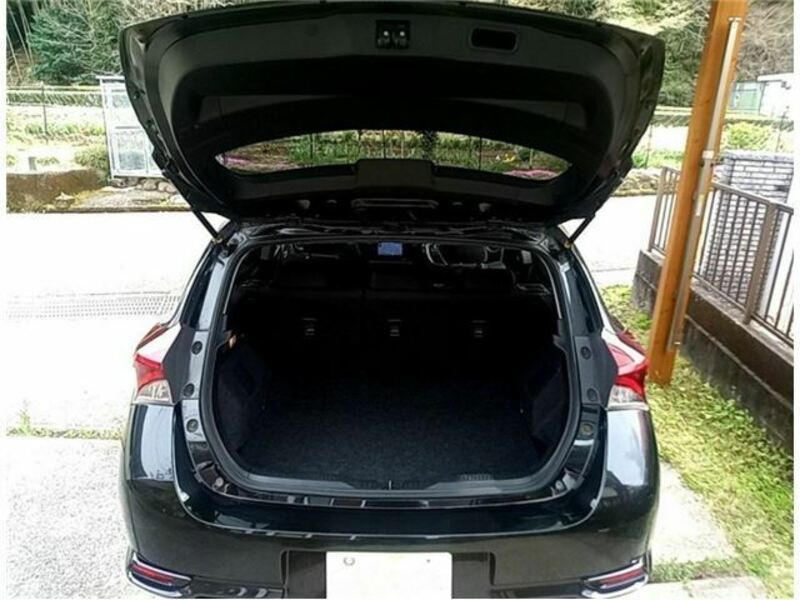 AURIS