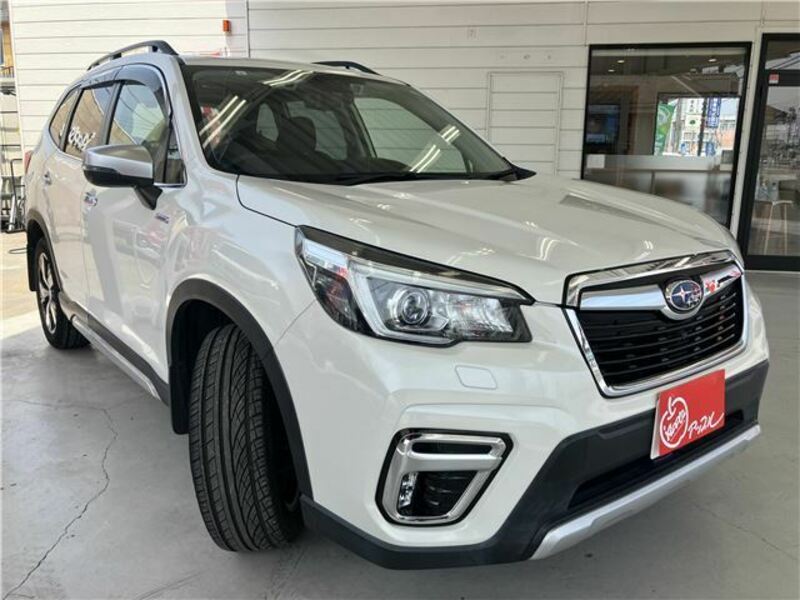 FORESTER