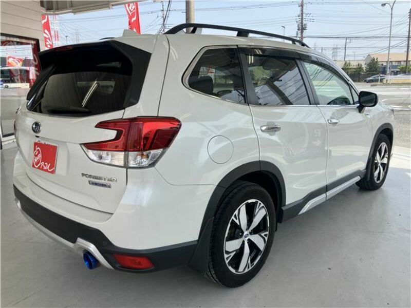 FORESTER