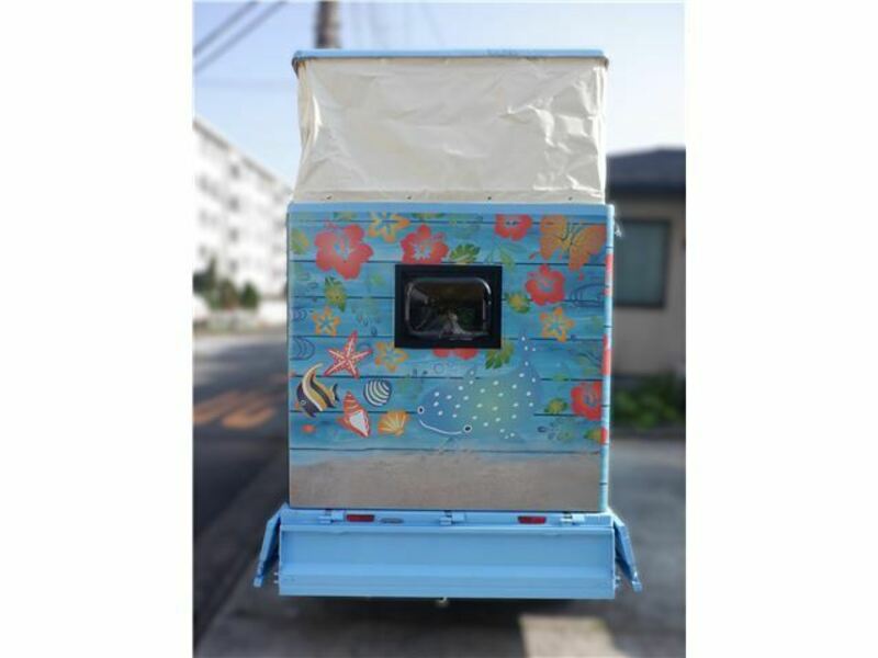CARRY TRUCK-6