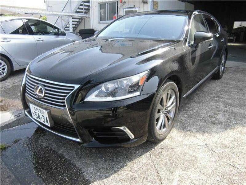 LS-1