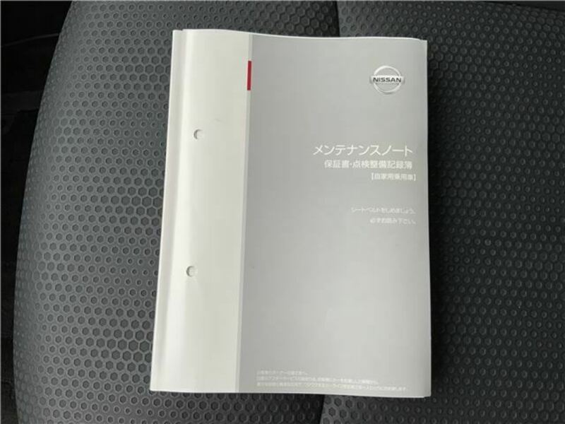 X-TRAIL-49