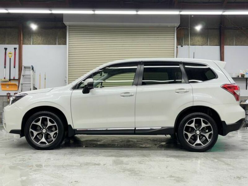 FORESTER-4