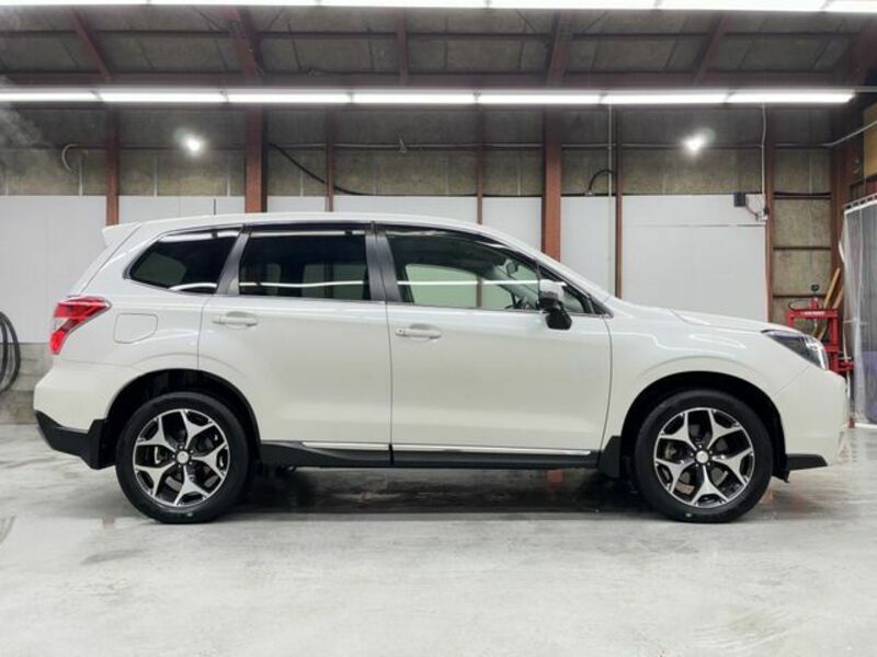FORESTER-8
