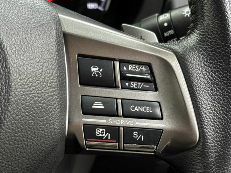 FORESTER-13