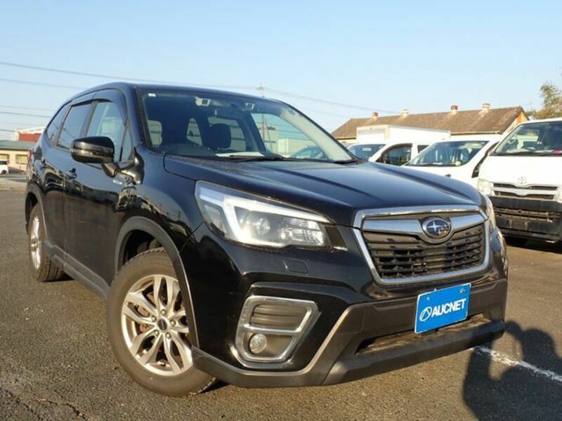 FORESTER-0