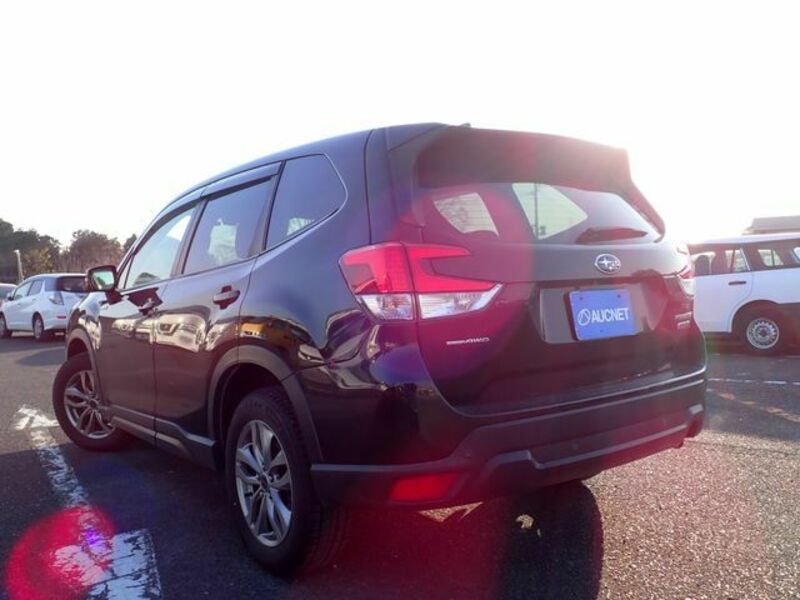 FORESTER