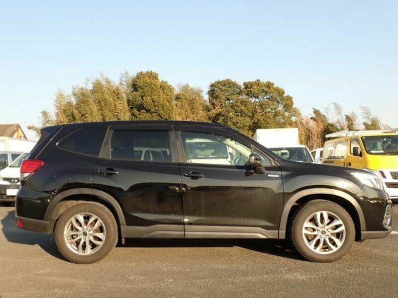 FORESTER