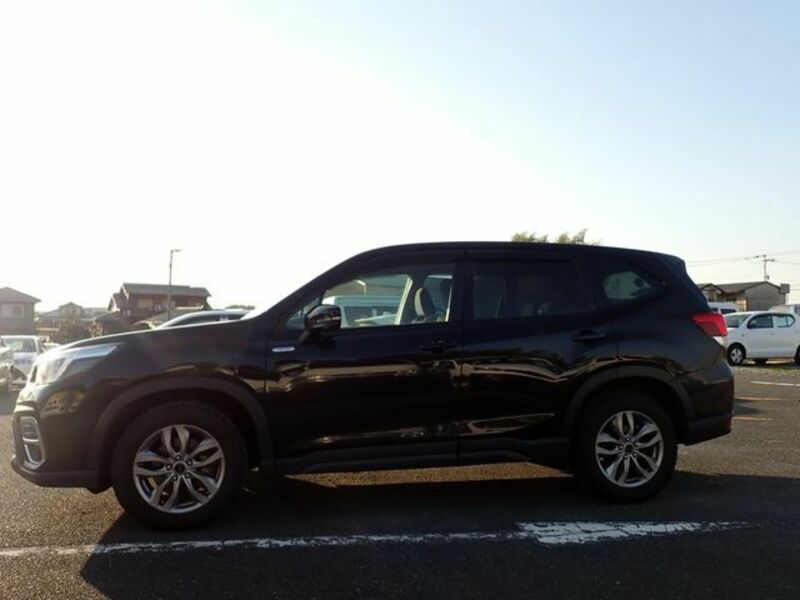 FORESTER