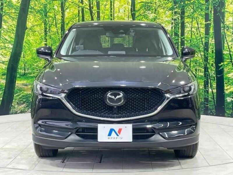 CX-5-13