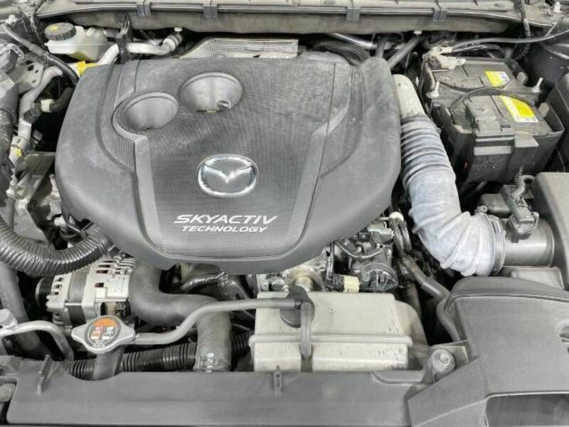 CX-5-17