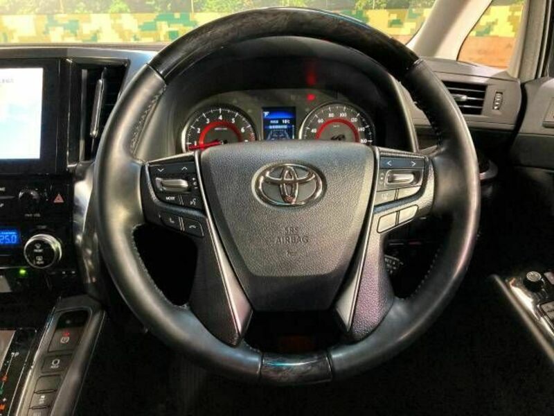 ALPHARD-11