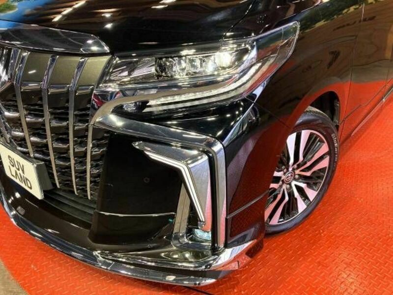 ALPHARD-12