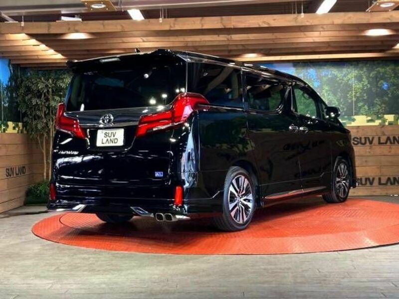 ALPHARD-17