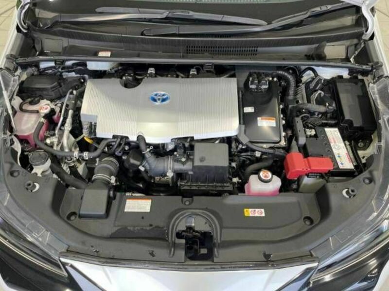 PRIUS-17