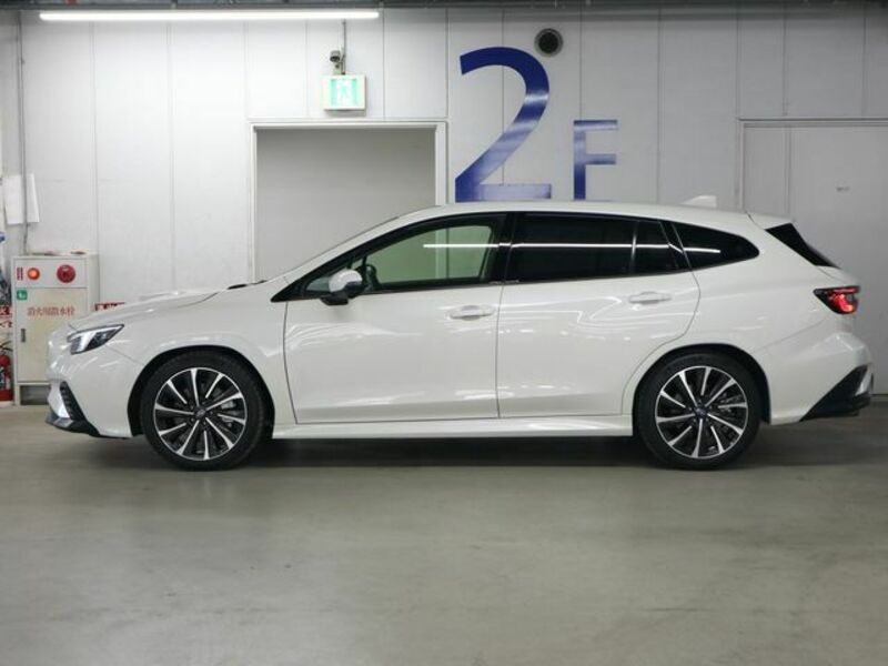 LEVORG-8