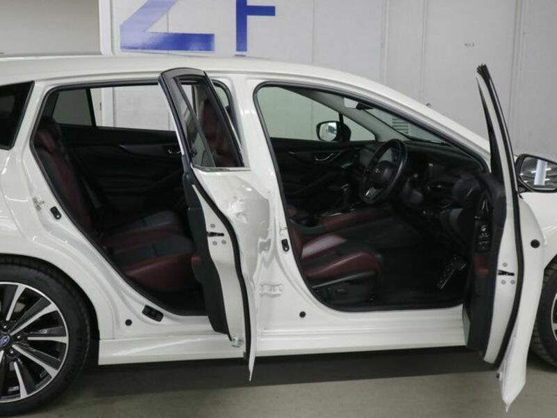 LEVORG-10