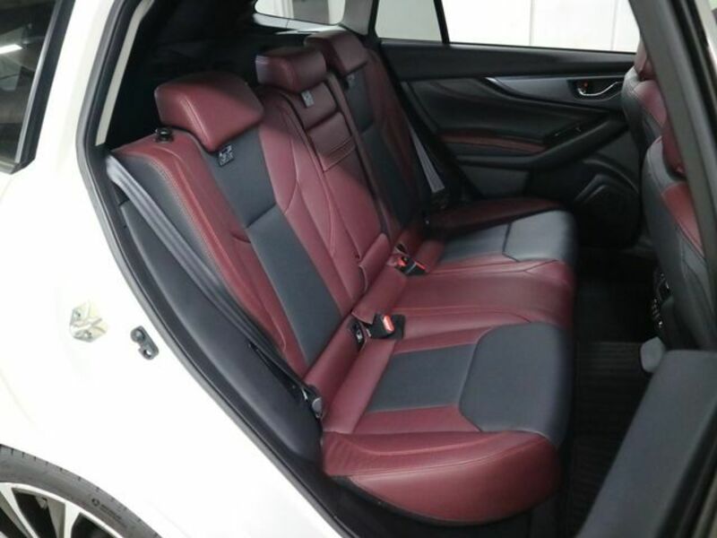 LEVORG-12