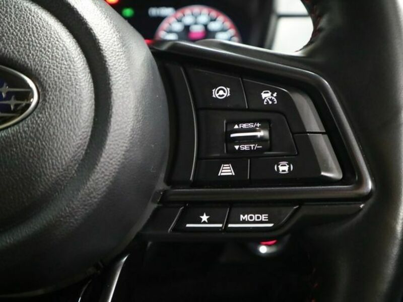 LEVORG-19