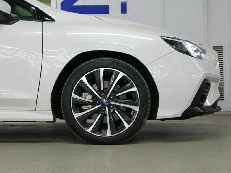 LEVORG-28