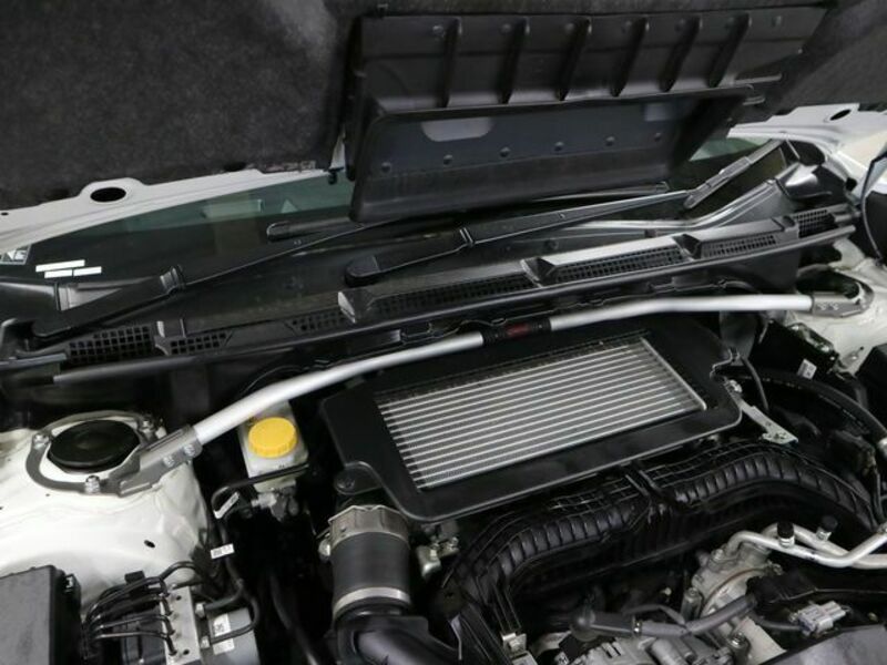 LEVORG-29