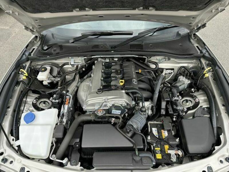 ROADSTER RF