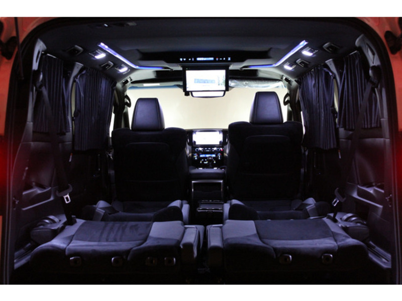 ALPHARD-17