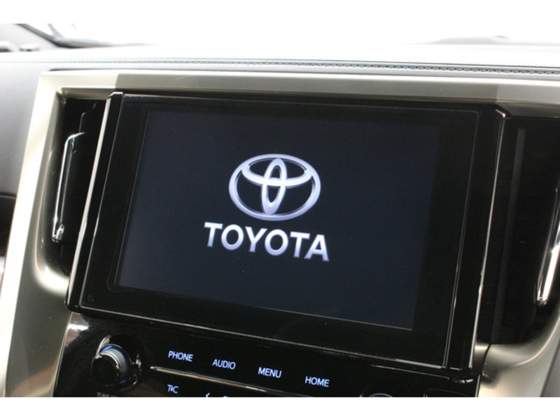 ALPHARD-10