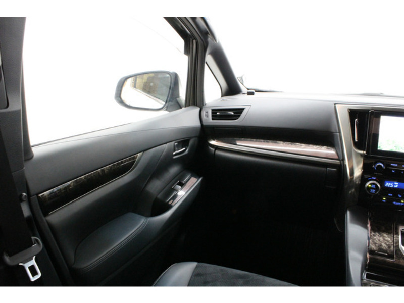 ALPHARD-14