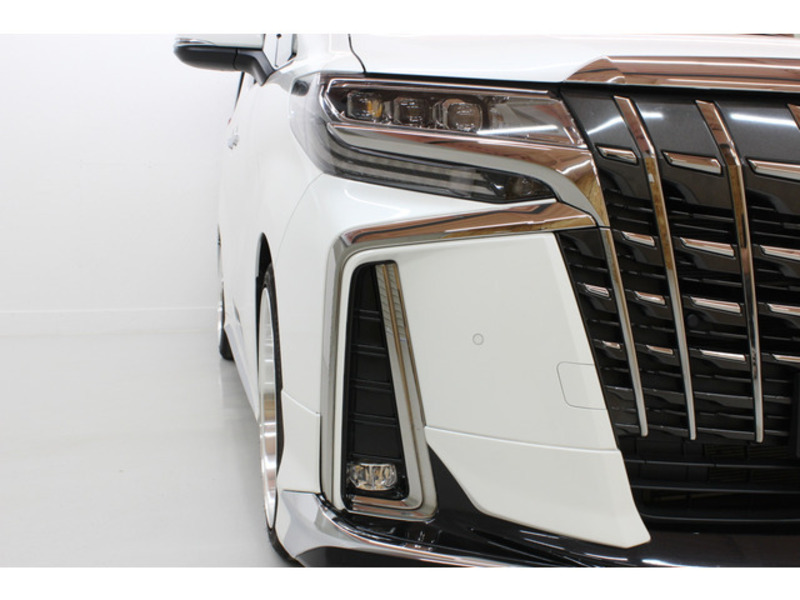 ALPHARD-19