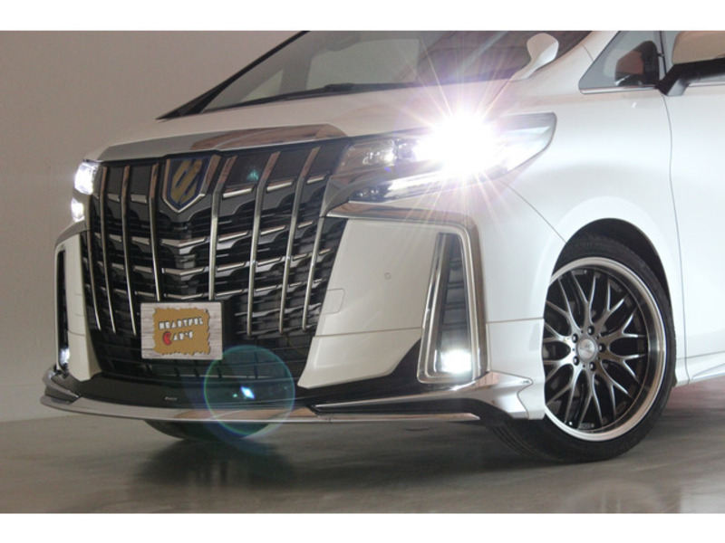ALPHARD-5