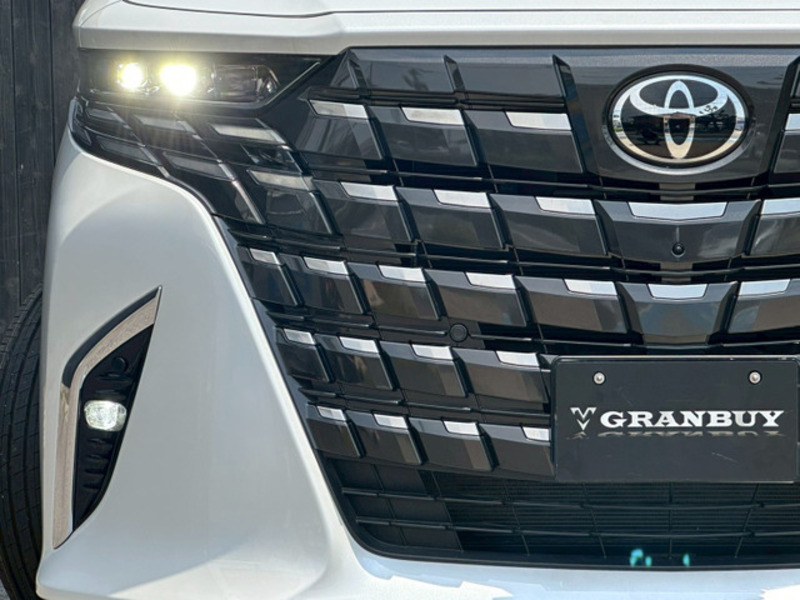 ALPHARD-17