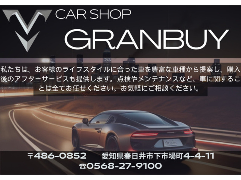 ALPHARD-18