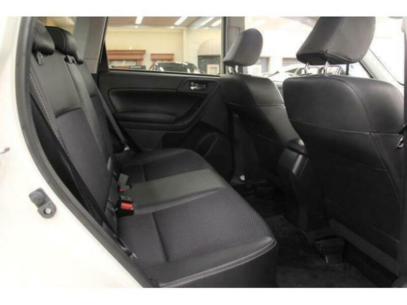 FORESTER-4