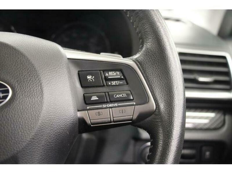 FORESTER-10