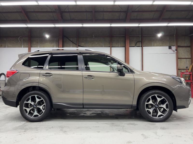 FORESTER