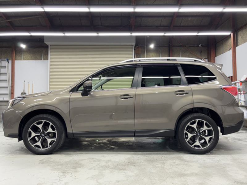FORESTER