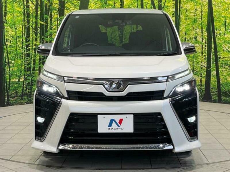 VOXY-14