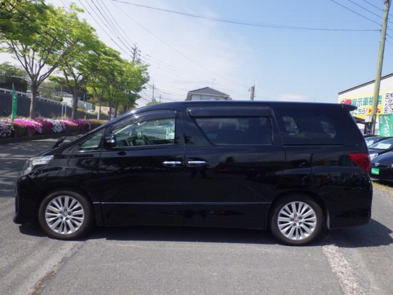 ALPHARD-13