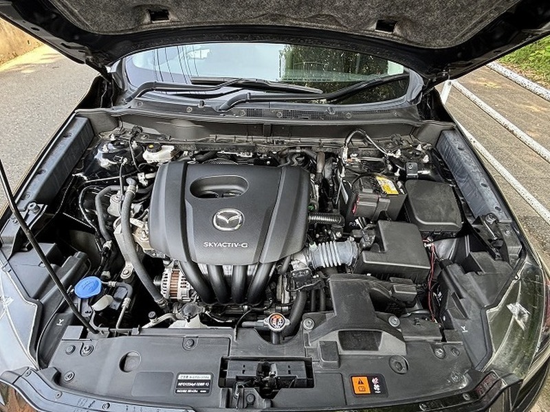 CX-3-10